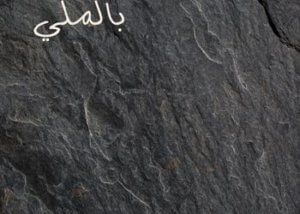 عالم الأرضيات وكل معلوماته لتأخذ قرارك الصحيح 2 الجرانيت