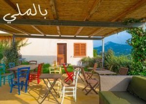 حدائق الفلل .. تصميمات وديكورات مختلفة 3 معايير التصميم لكى نطلق علية اسم الحديقة