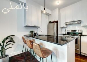 أهم 18 نصيحة لديكورات الشقق الصغيرة في الحجم 3 هل استخدم النباتات ام ان المساحات الصغيرة لاتتسع لها ؟