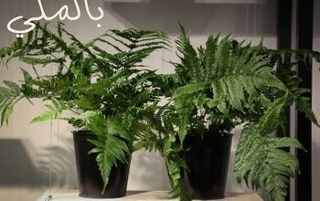 دليل كامل عن النباتات الاصطناعية بكل ما يخصها 5 دليل كامل عن النباتات الاصطناعية بكل ما يخصها