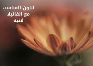 لون الفانيلا لاتيه؛ تعرف على أسعار ودرجات واكواد ومميزات دهان فانيلا لاتيه 4 اللون المناسب مع الفانيلا لاتيه