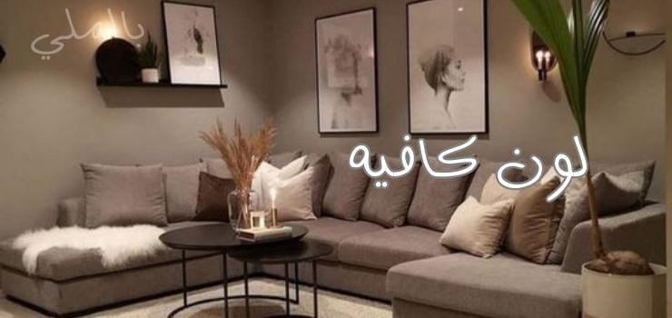 لون كافيه 1 لون كافيه