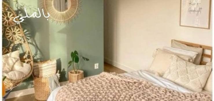 لون كافيه 4 ما هي الألوان التي تناسب اللون الكافية