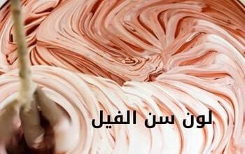 لون سن الفيل؛ تعرف على لون الموضة اللون العاجي او سن الفيل 10 لون سن الفيل