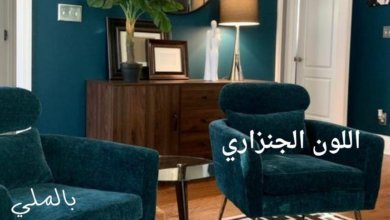 اللون الجنزاري؛ تعرف على درجات اللون الجنزاري والالوان التي تليق معه 1 اللون الجنزاري