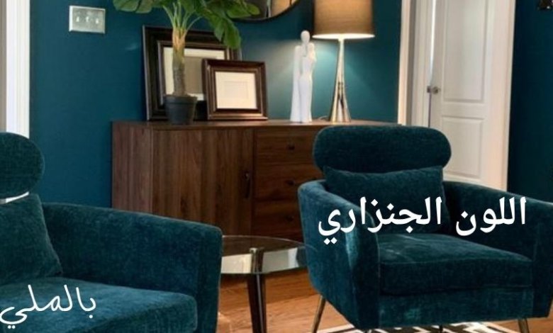 اللون الجنزاري؛ تعرف على درجات اللون الجنزاري والالوان التي تليق معه 1 اللون الجنزاري