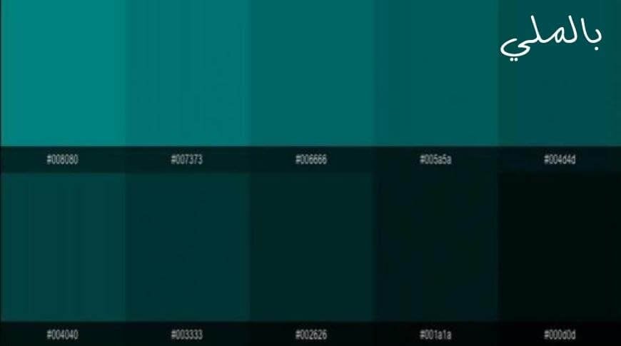 اللون الجنزاري؛ تعرف على درجات اللون الجنزاري والالوان التي تليق معه 2 تعرف على درجات اللون الجنزاري