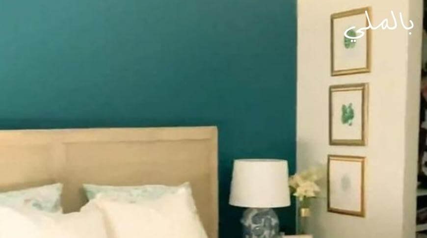 اللون الجنزاري؛ تعرف على درجات اللون الجنزاري والالوان التي تليق معه 5 صور لحوائط باللون الجنزاري