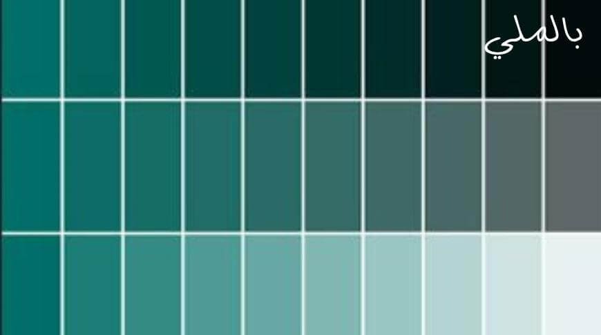 اللون الجنزاري؛ تعرف على درجات اللون الجنزاري والالوان التي تليق معه 3 ما هي اكواد دهانات باللون الجنزاري