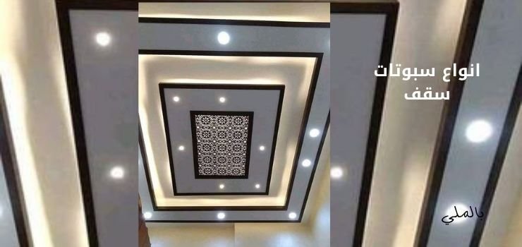 سبوتات سقف 2 انواع سبوتات سقف