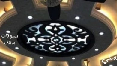 سبوتات سقف 6 سبوتات سقف