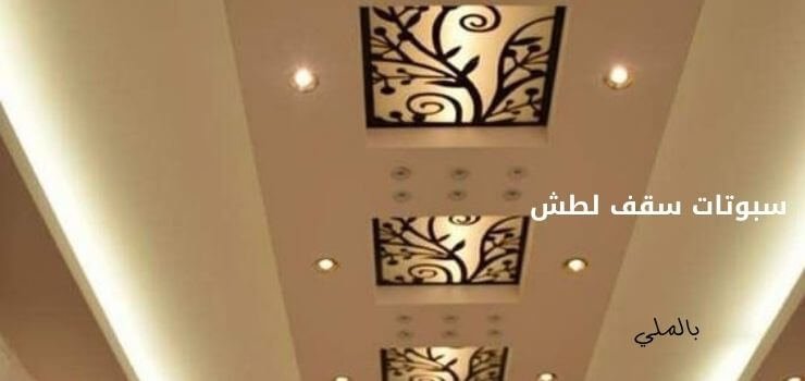 سبوتات سقف 5 سبوتات سقف لطش