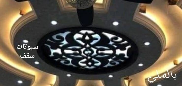 سبوتات سقف 1 سبوتات سقف