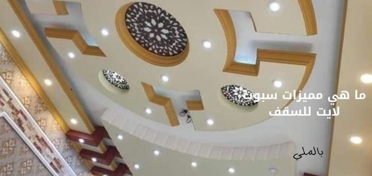 سبوتات سقف 4 ما هي مميزات سبوت لايت للسقف