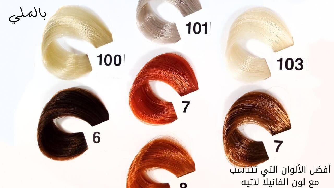 دهان حوائط فانيلا لاتيه 2024 6 أفضل الألوان التي تتناسب مع لون الفانيلا لاتيه